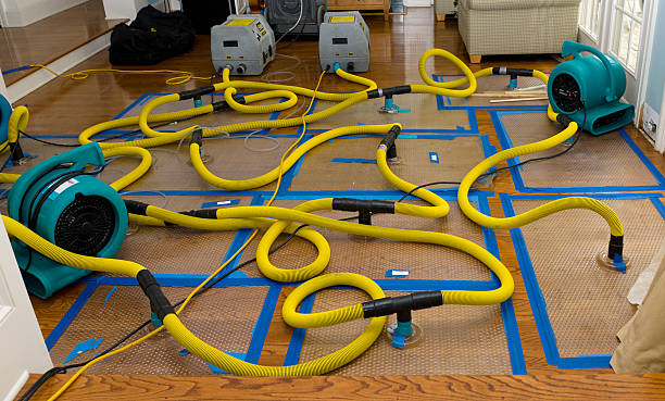 Professional Emergency Water Removal technician working in Linden, TN